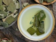 荷葉茶為什么叫短命茶？